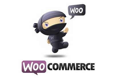 Guía de Inicio a WooCommerce: Informes de Pedido - Parte 4