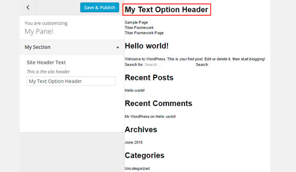 A Beginners Guide To Titan Framework Adding Text And Textarea Types