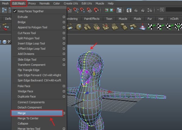 Merging the Meshes Together