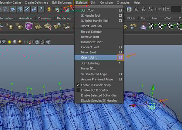 Skeleton  Orient Joint 