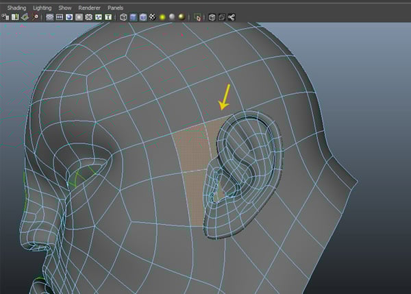 Unhide the head mesh