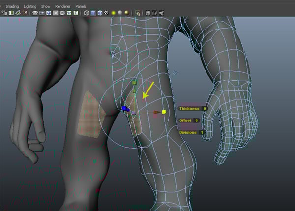 Thigh faces selected