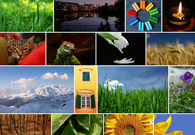 How to Create a WordPress Gallery Using the Justified Image Grid Plugin