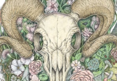 Entdecken Sie Vektorgrafiken und handgezeichnete Illustrationen: Eugenia Hauss