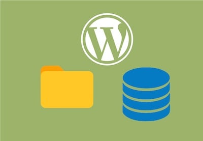 How Does WordPress Work?