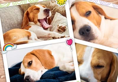 Wie kann man Photo-Booth-Vorlagen mit Photoshop erstellen?