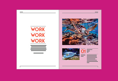 How to Change the Background Color in InDesign