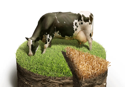 Create a Soil Cake for Pie Charts and Infographics