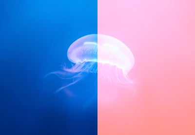 Blending Modes in CSS: Color Theory and Practical Application