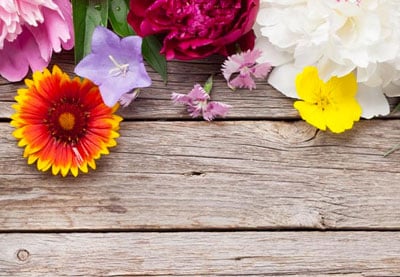 A Web Designer’s Guide to Selecting the Perfect Background Image