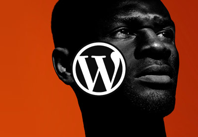 20 kreative WordPress Fotogalerie-Themes für einfache Portfolioseiten 2022