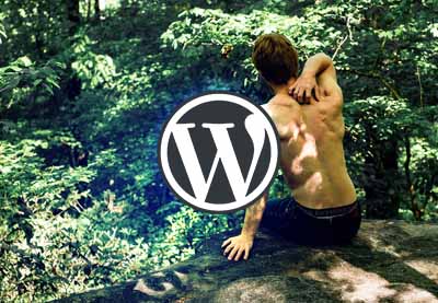 20+ Best Chiropractor & Physiotherapy WordPress Themes for 2025