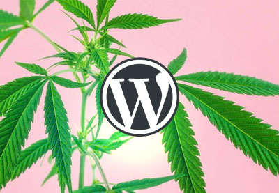15+ Beste Medizinisches Marihuana und Cannabis WordPress-Themes