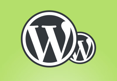 What Is a WordPress Child Theme?