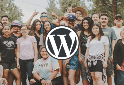 20+ Best Community WordPress Themes