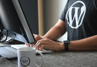 How to Change Your WordPress Theme