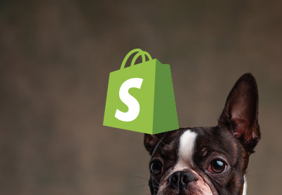 25+ plantillas de Shopify para tiendas de mascotas del 2022