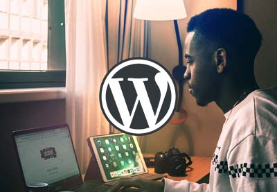 Las 16 mejores plantillas de páginas (de nicho) de WordPress