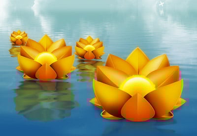 Create a Poster Illustration With Floating Floral Elements