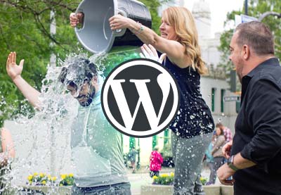 15 WordPress Themes for Fundraisers (for Charity Fundraising and Donations)