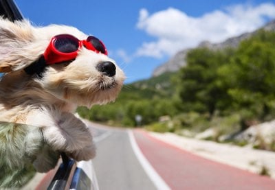 How to Manage Household Bills the Smart Way and Save Money