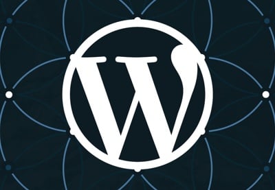 How to Determine What to Build With WordPress