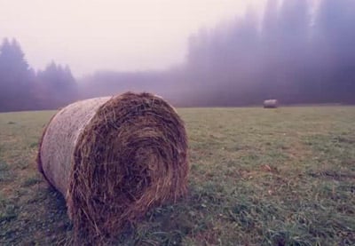 Photo Retouching in Adobe Photoshop with Content Aware in 60 Seconds