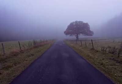 How to Use Adobe Photoshop JPEG Compression in 60 Seconds