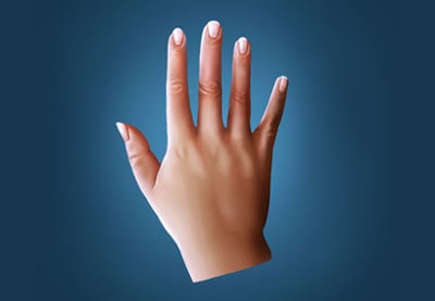 Wie man realistische Hände in Adobe Photoshop malt