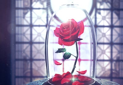 ¿Cómo
Crear una Manipulación de Foto de una Rosa Encantada en Adobe Photoshop?