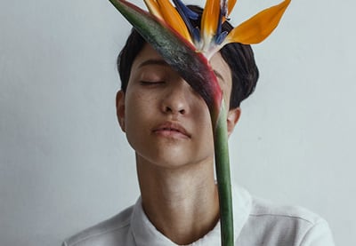 Presentación de artistas internacionales: Venezuela