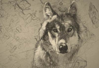 Die 25 besten Photoshop Effekte (künstlerische PSD-Aktionen)