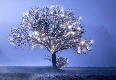 Envato Tuts+ Community Challenge: Created by You, July 2018 Edition