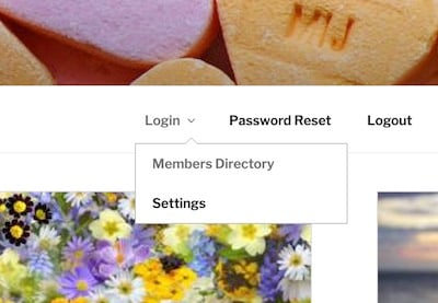Better Navigation: How to Add a Dropdown Menu in WordPress