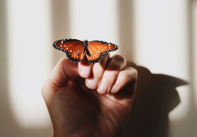 20 Flavours of Premiere Pro: 55 Templates in Top Search Categories