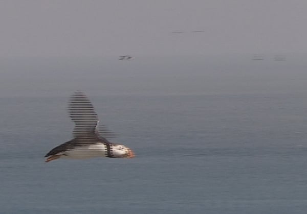 Interlaced film playing on progressive monitor