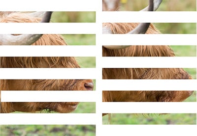 Choosing Progressive Versus Interlaced Video Recording