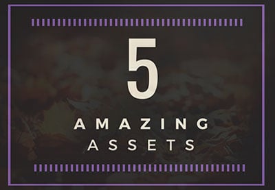 5 erstaunliche Vermögenswerte
für perfekte Erntedankfest-Erinnerungen