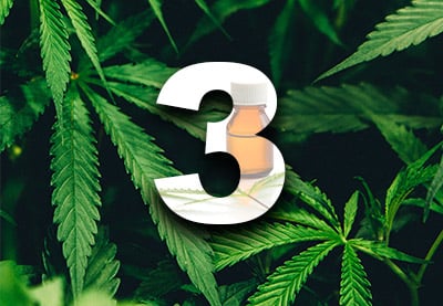 Las 3 mejores plantillas para videos de marihuana medicinal