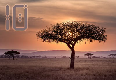 10 Top Templates for Videos With African Themes and Design