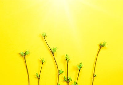 10 Great Video Templates for Beginners in Premiere Pro