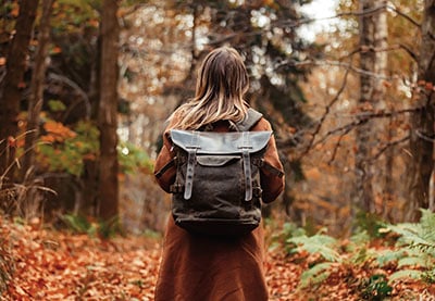 4 Top After Effects Autumn Video Templates