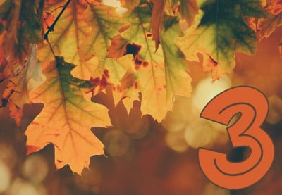 3 Top Plantillas para After Effects para Vídeos de Otoño
