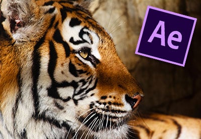 3 Top Bangladesh Video Templates for After Effects (Graphics, Maps, Flags)