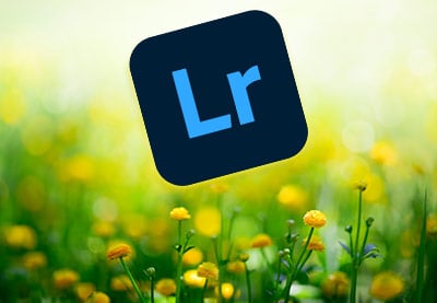 10 Top Spring LUTs and Presets for Photos in Lightroom
