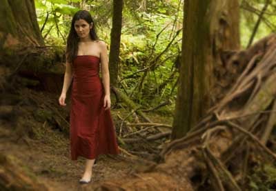 How to Use Shot Choices to Create a Cinematic Look in Video