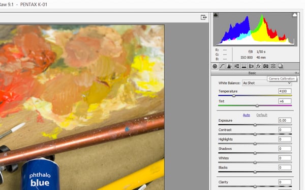 An image ready for adjusting in Adobe Camera Raw