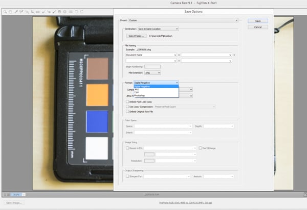 Converting a RAW image to a DNG in Adobe Camera RAW