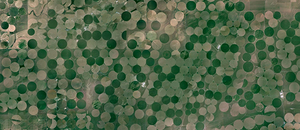 A aerial view of circular fields from Google Maps