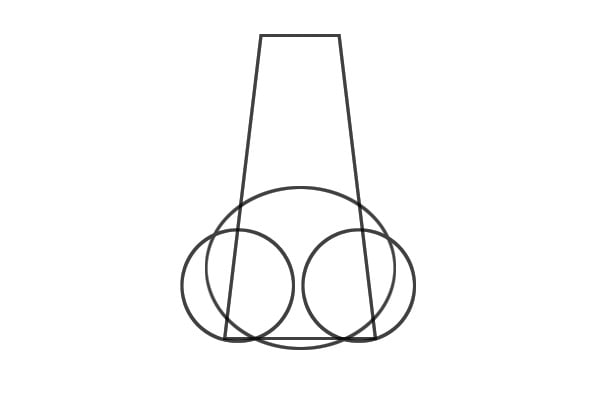 Basic structure of the nose